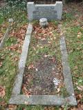 image of grave number 491302